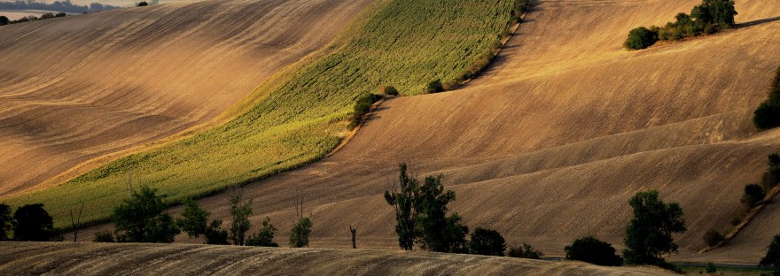 Moravian Tuscany