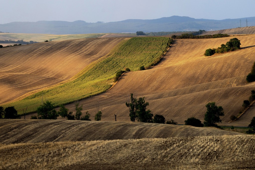 Moravian Tuscany